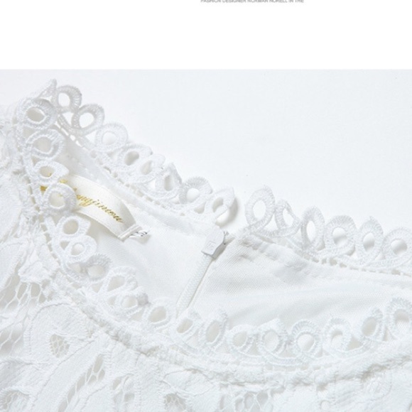 Last 1! Hollow Long Sleeves Knee Length Lace Dress - Picture 5 of 8